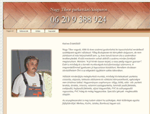 Tablet Screenshot of nagytiborparkettazo.hu